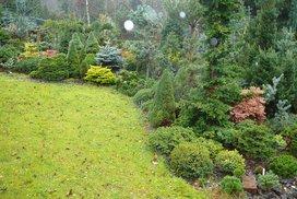 jehli%C4%8Dnany%2080jpg