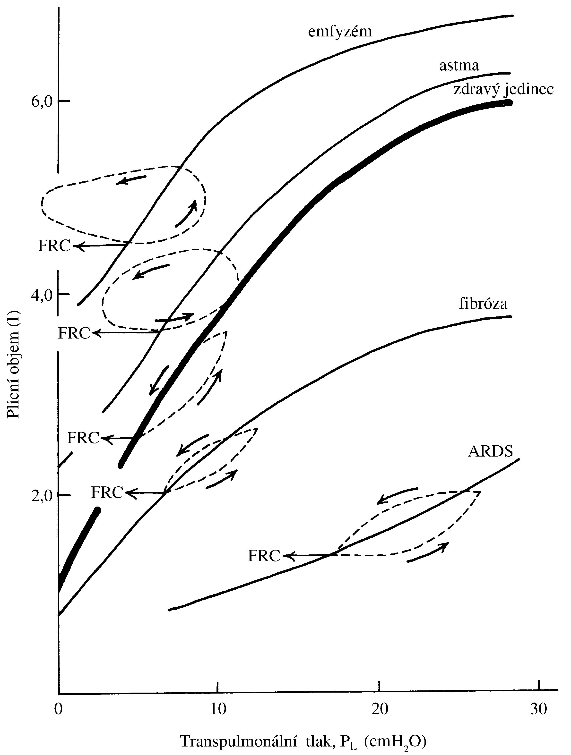 2021 Patologicka fyzio 1 Page 333 Image 0001