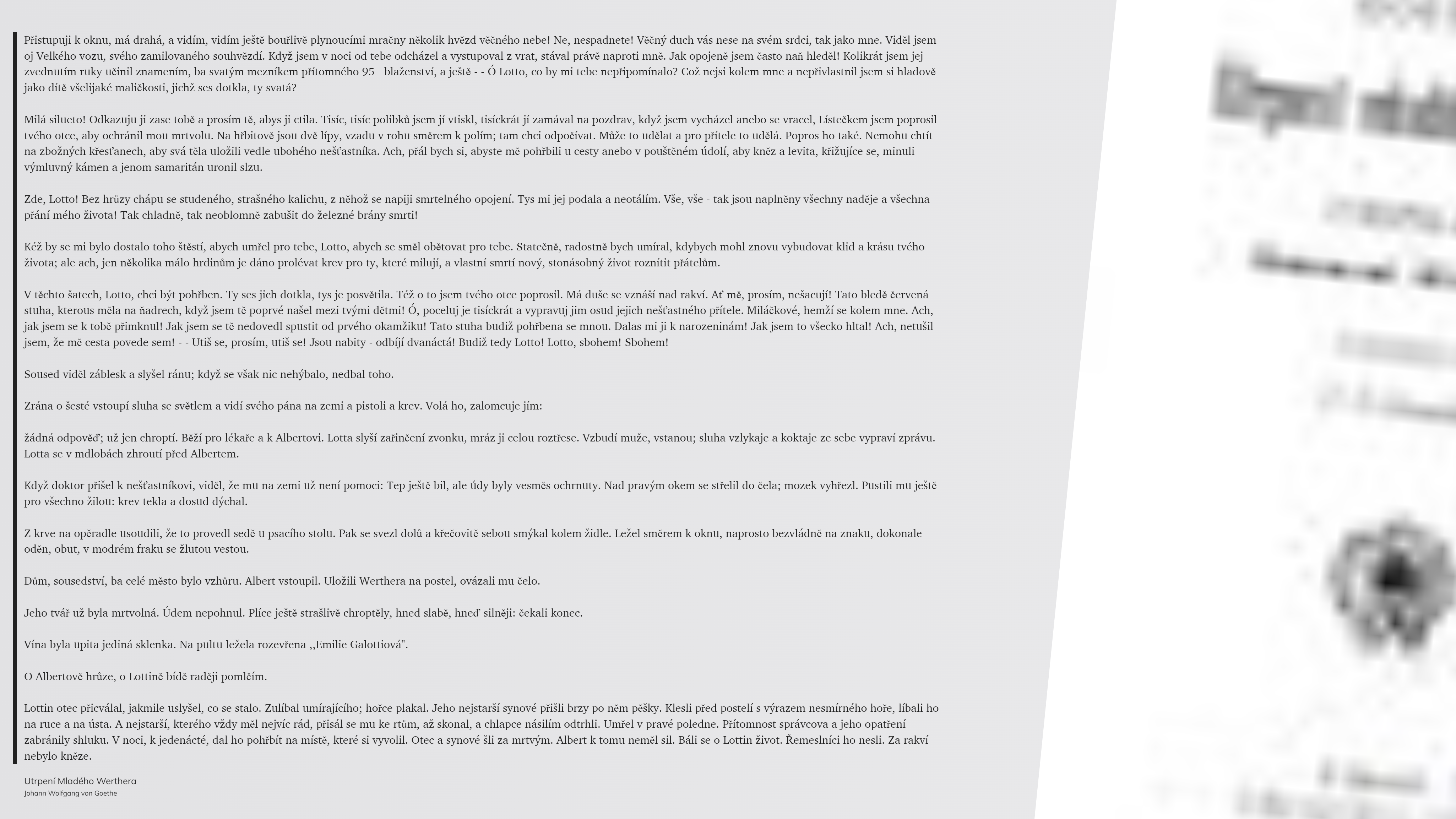 Utrpení Mladého Werthera (55)