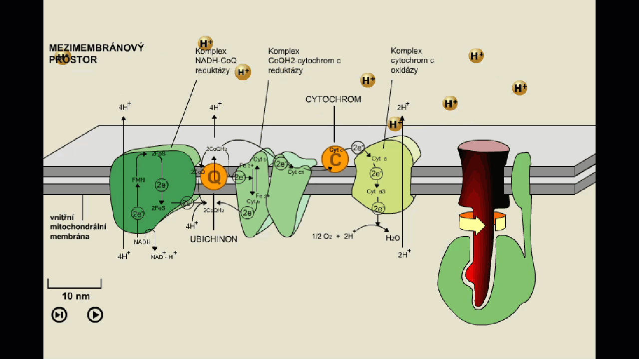 FC201BDE-9F43-4937-876E-33E2B4E1F1F2