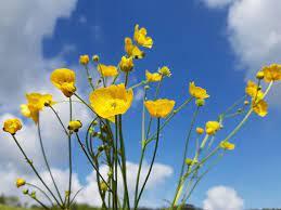 574f28b3-deca-4059-bc58-db706c279648