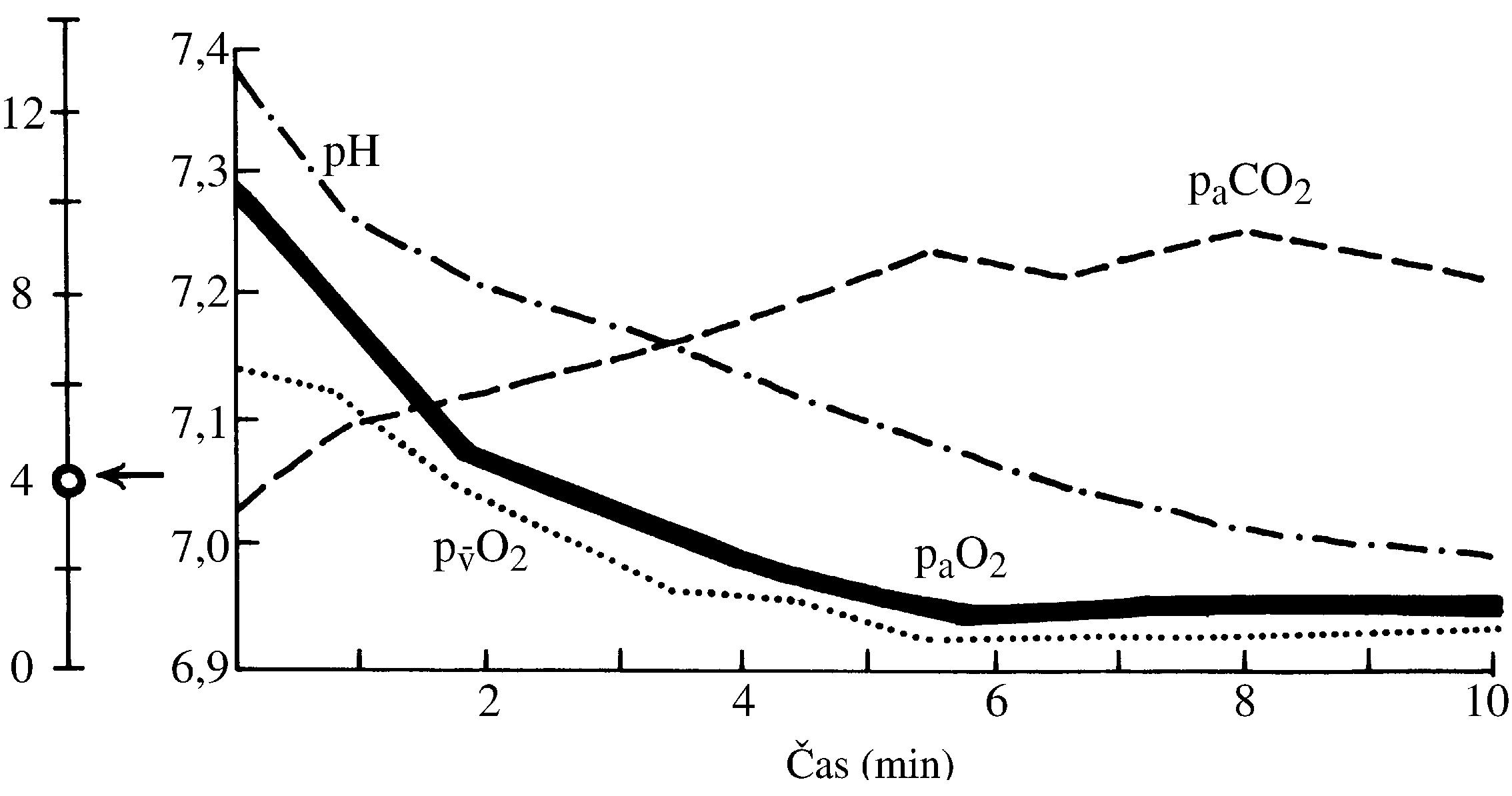 2021 Patologicka fyzio 1 Page 343 Image 0001