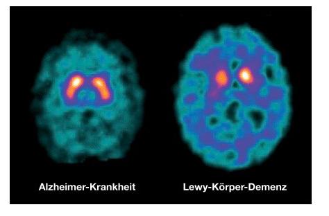 WhatsApp Image 2024-10-21 at 10.32.48