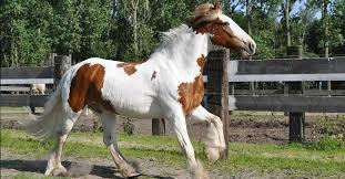 58f0a882-feec-43da-a75d-acdd035564c8