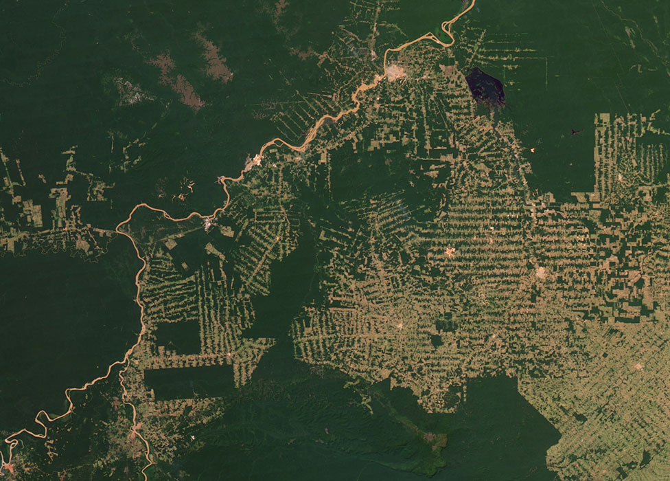  119809911 amazon deforestation 20120718 lrgafterzoom