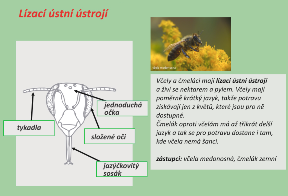 Bwvia6dVZOF5ZNSYdLOsUs