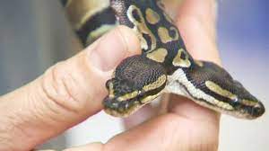 58ccb4f1-9431-4ac5-b215-9090e94e0c38