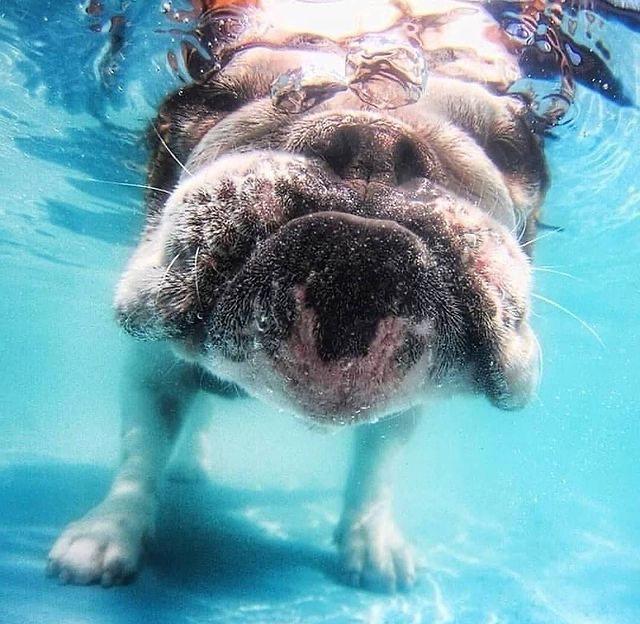 1F3C1B95-B5D0-430A-BB5B-344CE430E49A