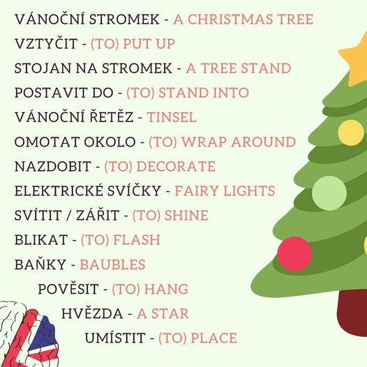 131045986 3509823335805761 4016305749184835411 o