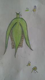 136643359 247553910063283 3019886747010224389 n