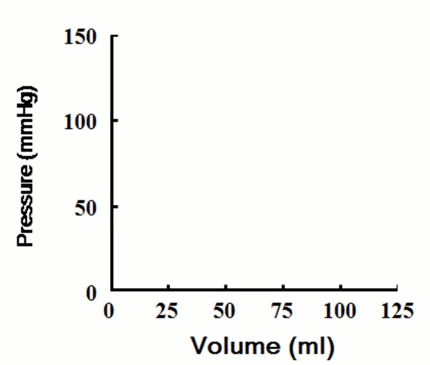 BA23681B-EB46-4099-B5EF-626EB96B028C