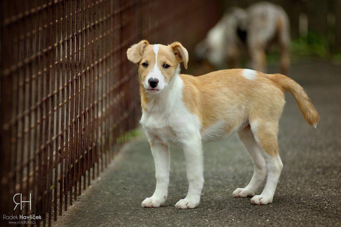 67401995 1078957362310487 4608756644573085696 n