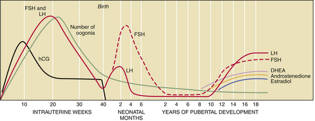 B978141605940000031X gr2
