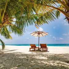 5baab5d0-a47b-4f31-abe5-107e91c055e1