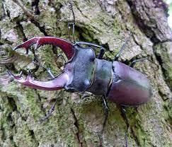 5d7c514a-e1dd-4c51-b237-30e61a6441ed