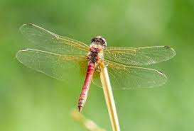 5da75fee-55e4-4266-983b-60495a08ac43