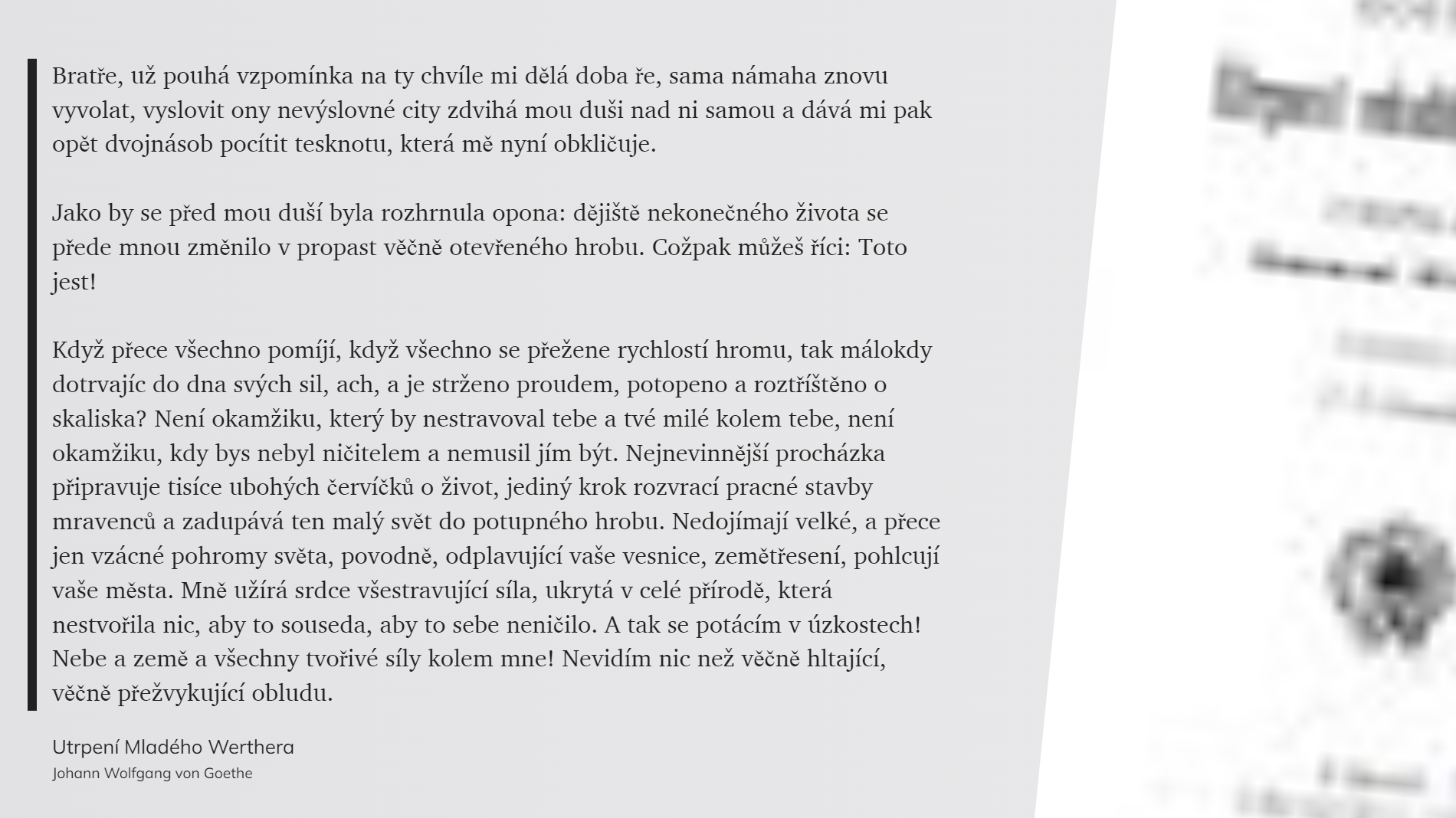 Utrpení Mladého Werthera (27)