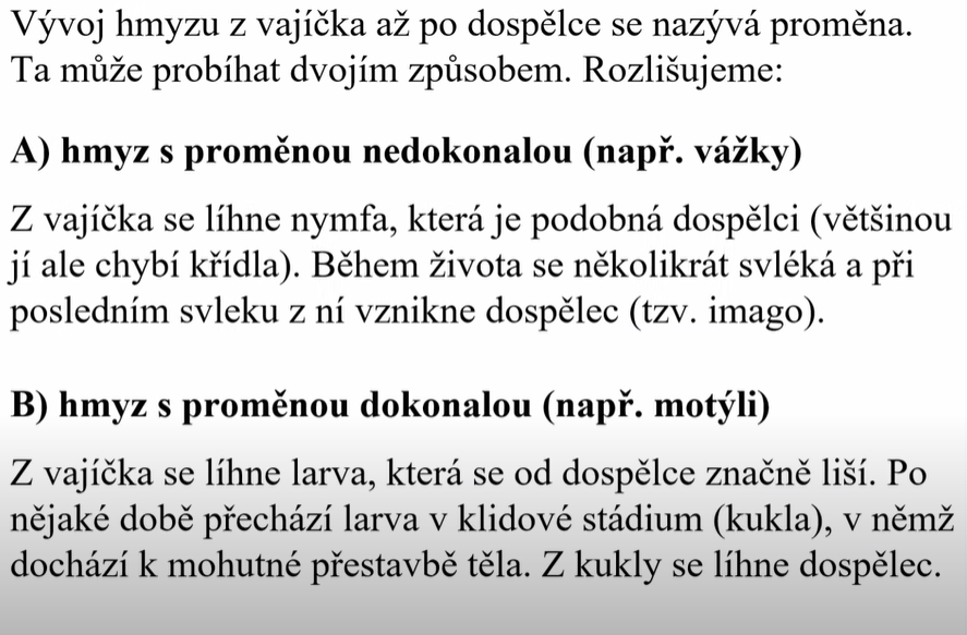 výpisky 3