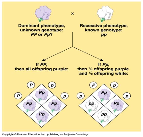 Notes 221125 121057 0a1