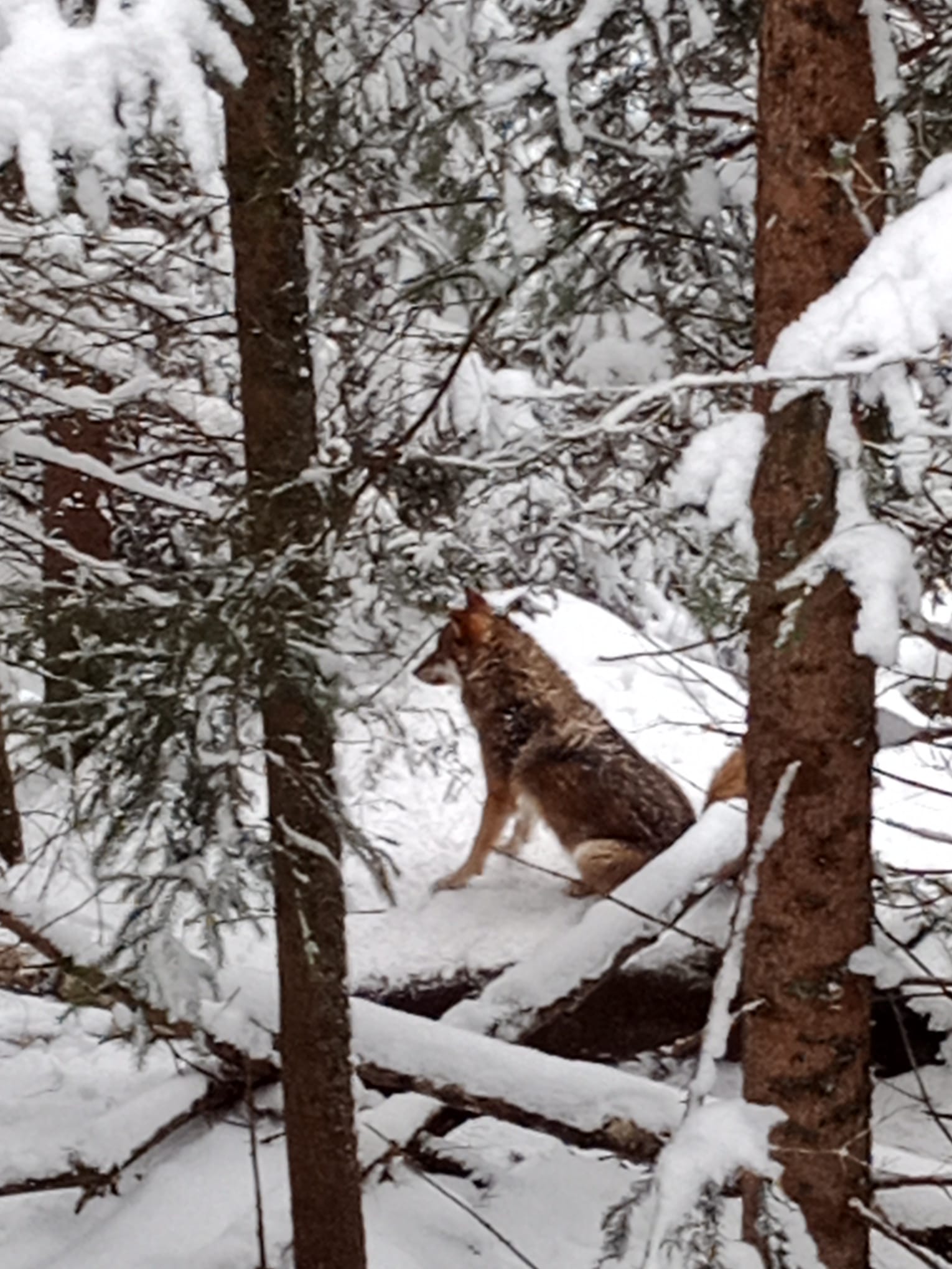 760ebfc5-210a-4ffc-b620-9171197e5010