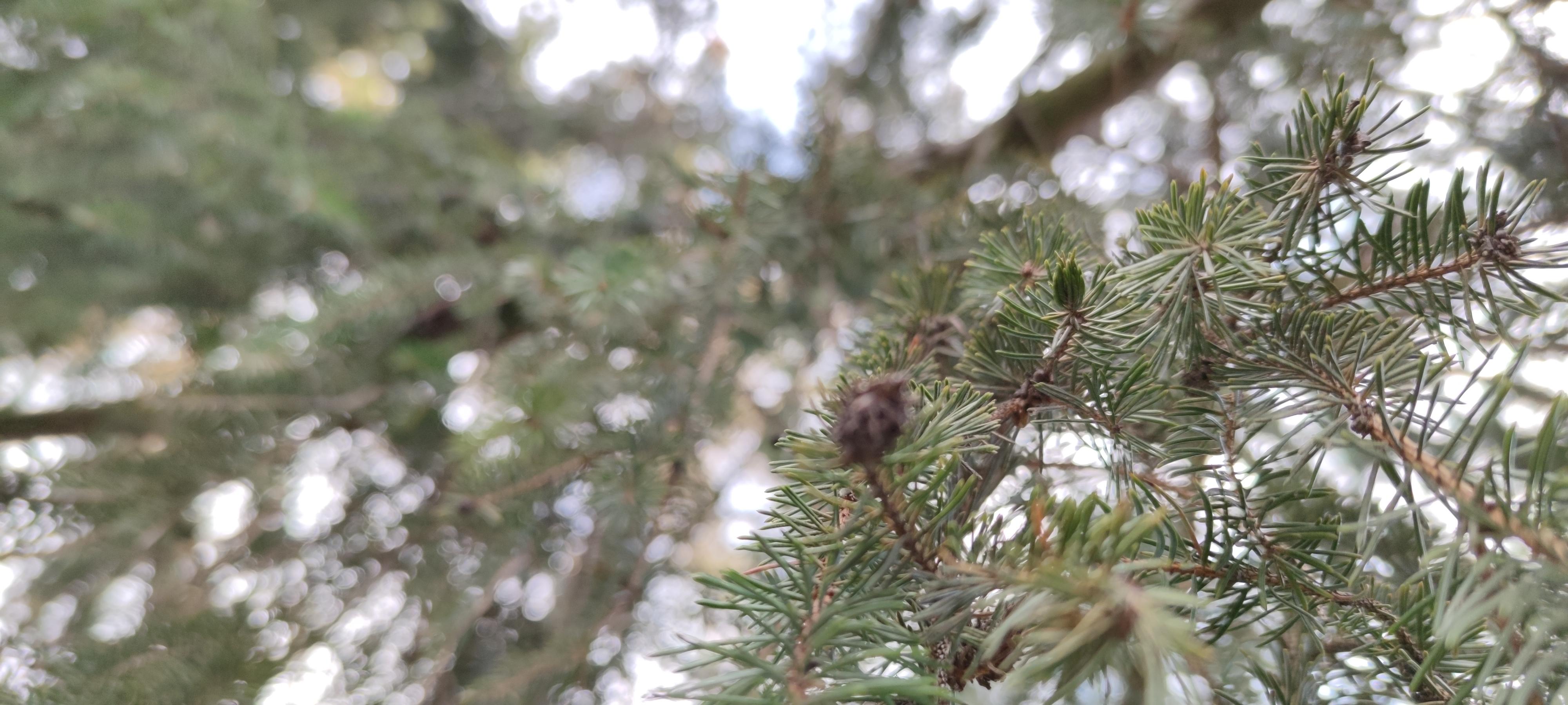 16178111790287560105189127418642