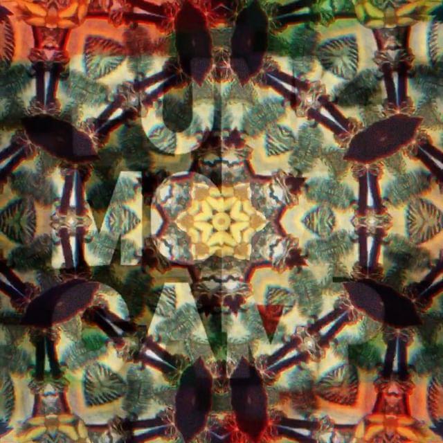 296154130 1171209013728251 8096976966477495973 n