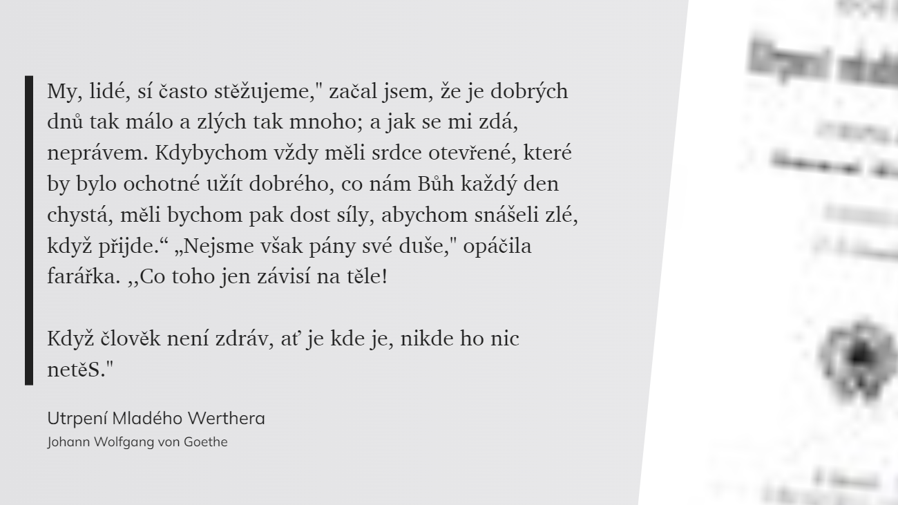 Utrpení Mladého Werthera (14)