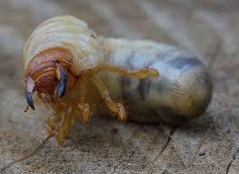 612afd3f-c6df-4e94-8e73-be17f71f3e3f