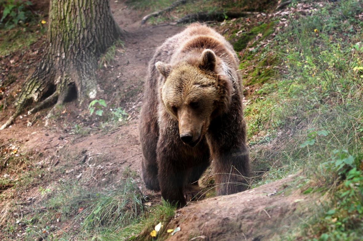 2176802-f201807251229701