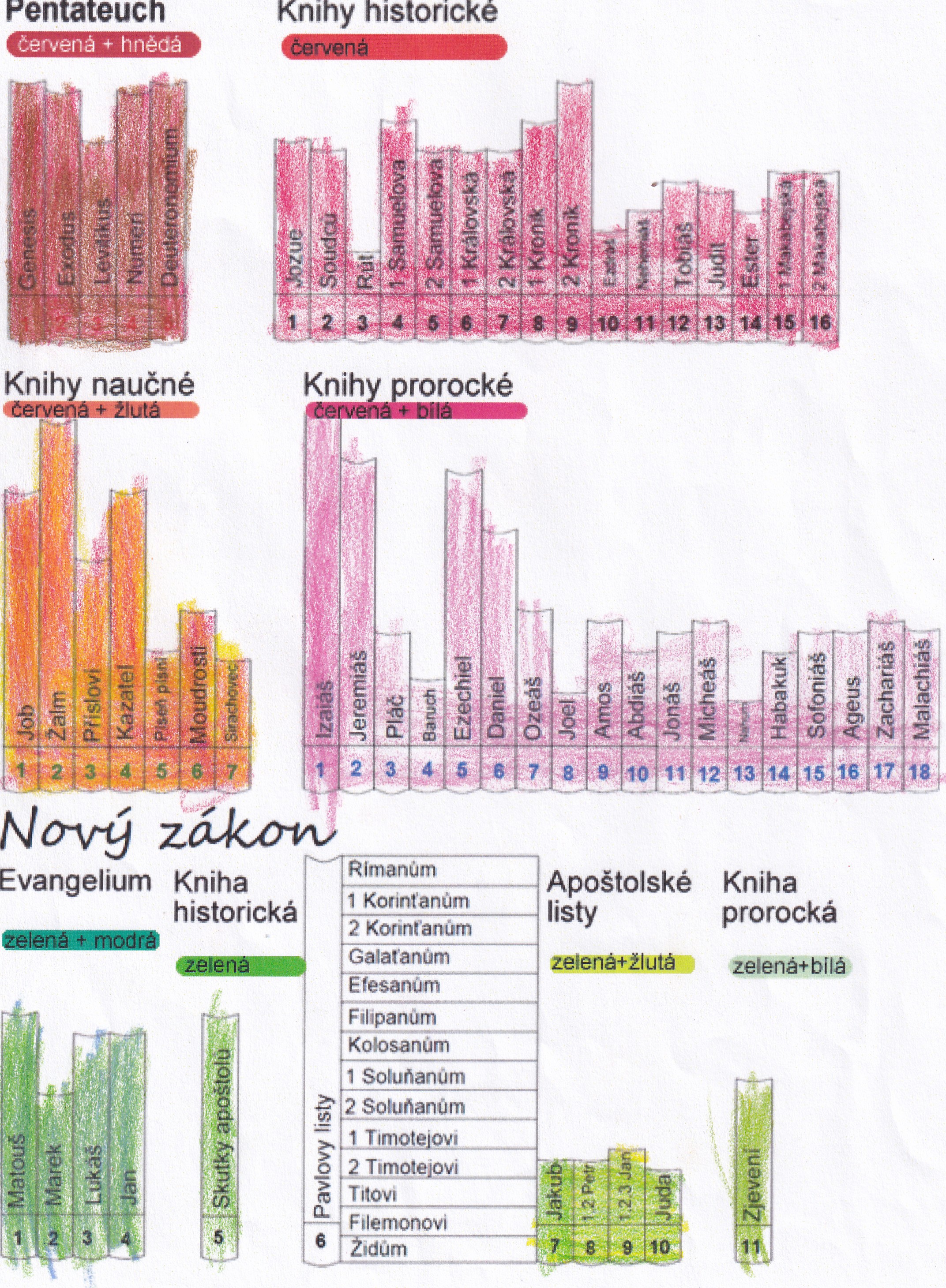 PS - knihovna - vybarvená