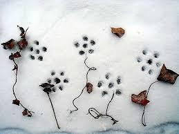 6264b8c0-a219-492b-a165-d948d81237af