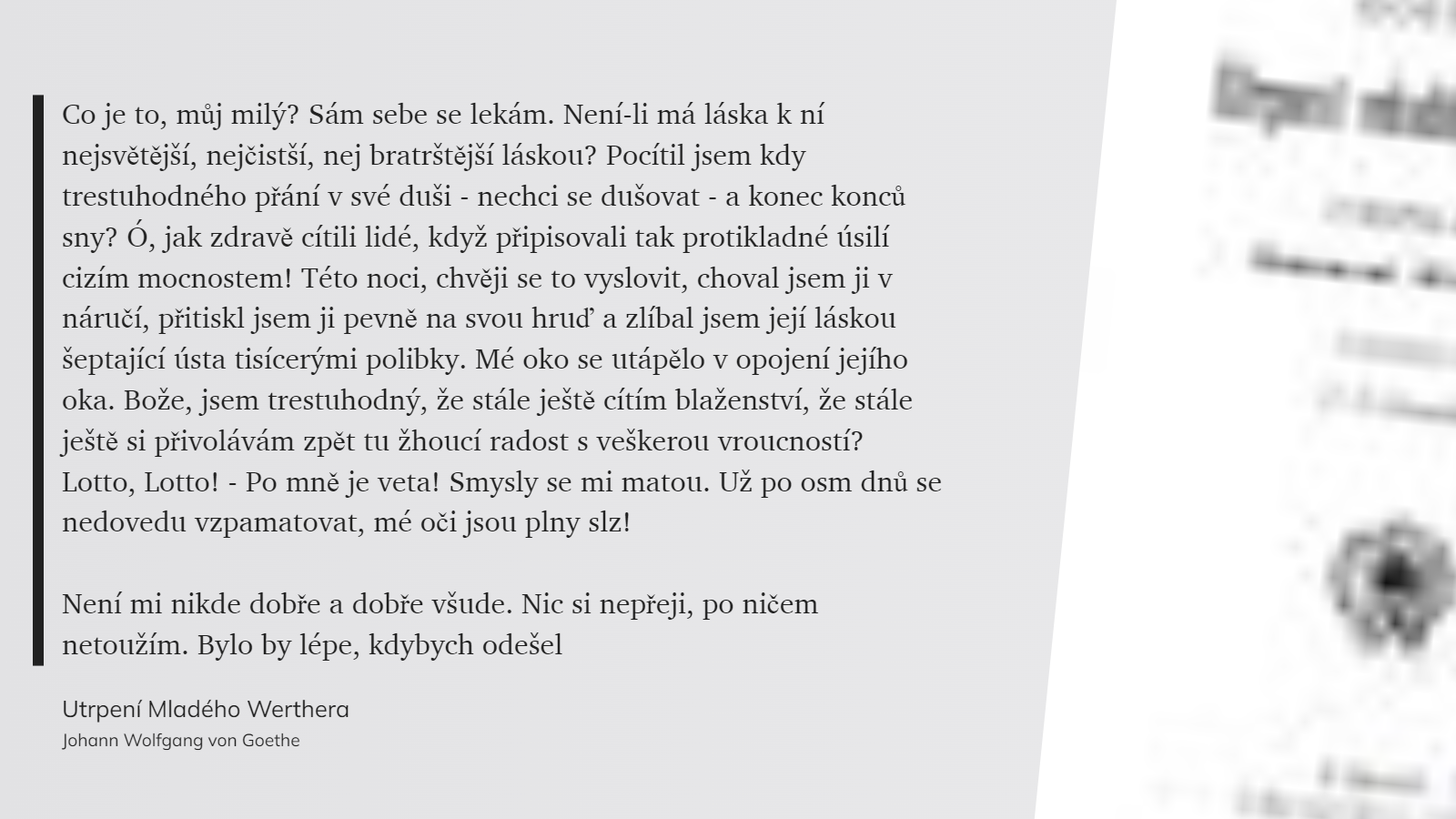 Utrpení Mladého Werthera (45)