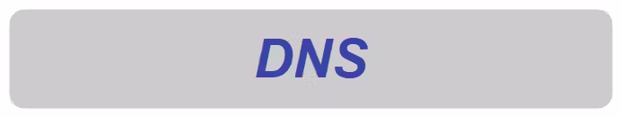 dns