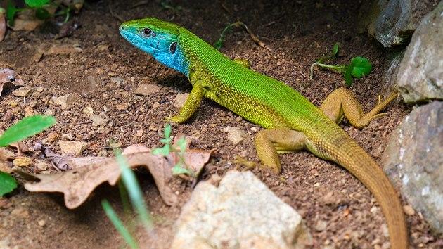 MCE83d9c5 GettyImages 1152934014