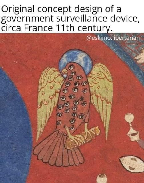 300373756 5613718675334401 7883767980382394140 n