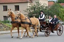 64558fe7-f8da-4b2d-85eb-6934ca3334a7