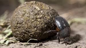 64ffba63-fb52-4401-8bae-c64079dac9ab