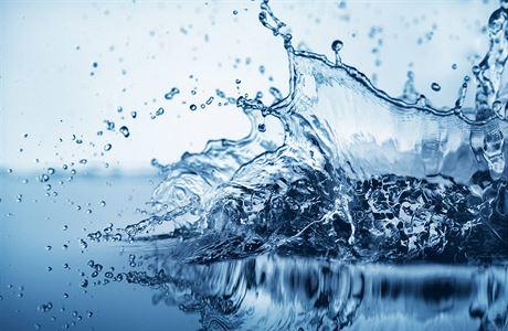 EV33d803 shutterstock 11555428