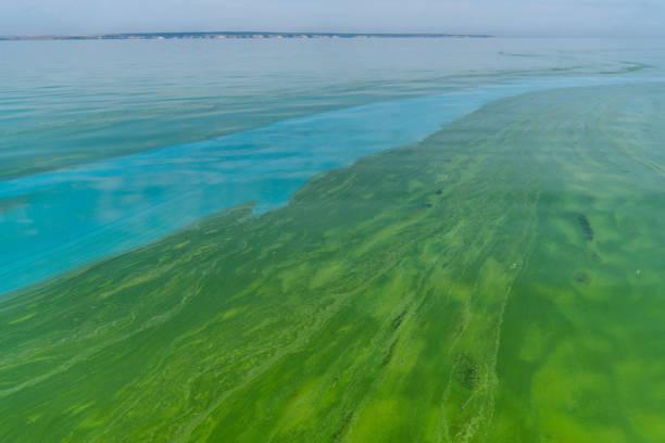 istockphoto-1344618887-612x612