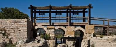 nachal-taninim-doron-nisim-e1512578622530