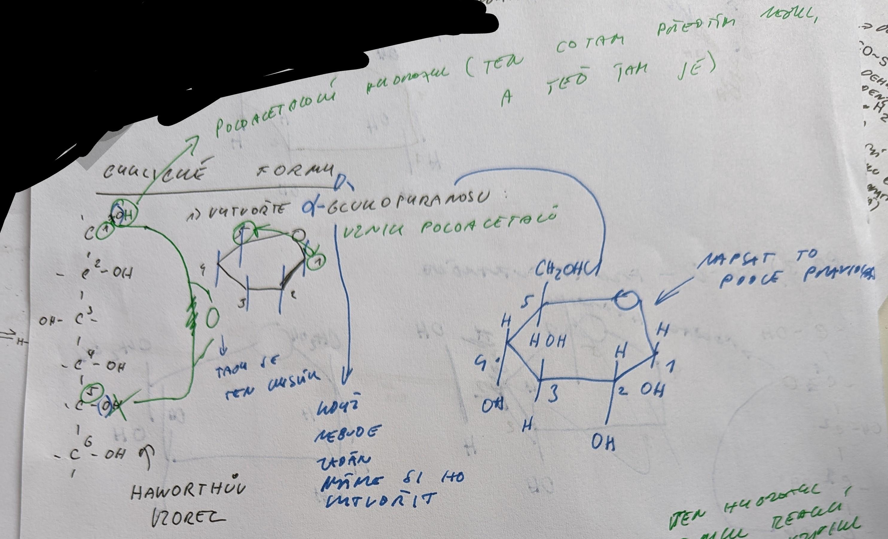 PXL 20221001 105027968 2