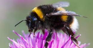 65345ba4-92be-4eac-9a81-8293341fb391