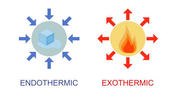 istockphoto-1336267168-612x612