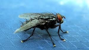 65fe1f98-2622-4d2e-adac-354deae51048