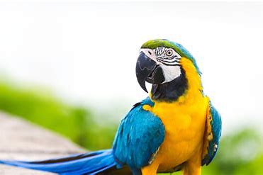 6570b37e-2b7b-4d61-a33e-dfad9c7ce1ef