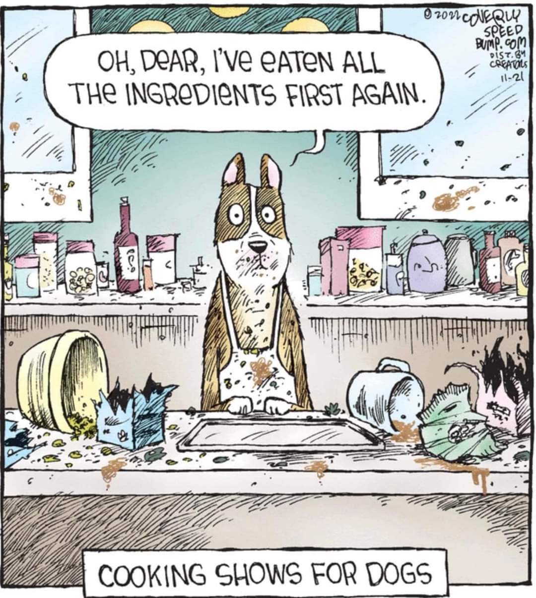 FB IMG 1669890484264