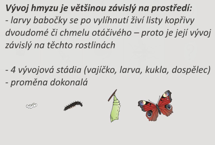 152622167 2943985779258814 8043463647244432011 n