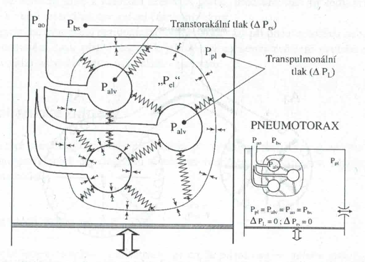 Tlaky a tlakové gradienty