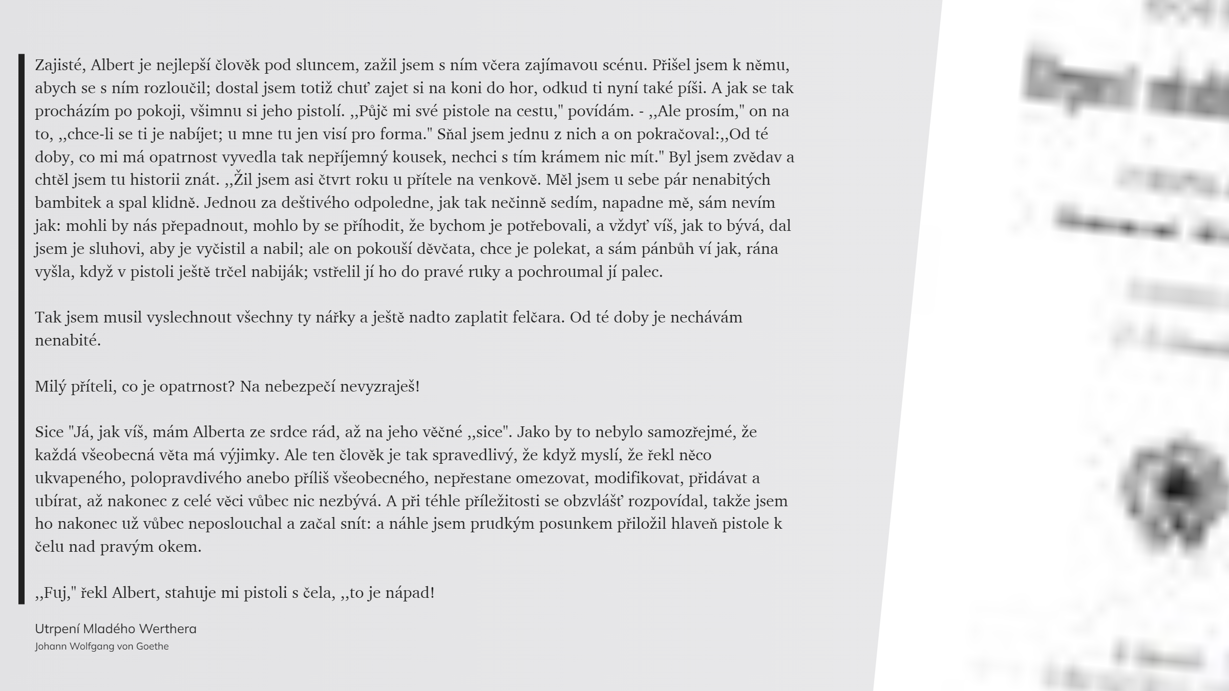 Utrpení Mladého Werthera (22)