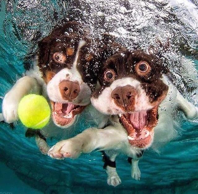 805AFF93-6982-4F76-A536-20EA8A1FF969